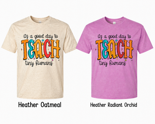 It's a Good Day to Teach Tiny Humans Adult Shirt (Gildan SoftStyle)
