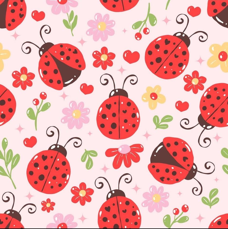 Pete + Lucy: Lady Bug Pants Set