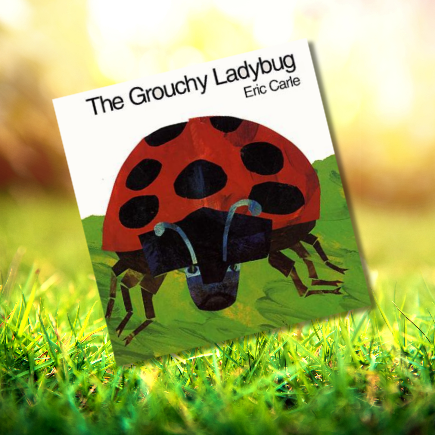The Grouchy Ladybug
